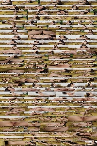 [MetArt] 24-02-27 Emily Eliot - Bounteous (x130) 3840x5760_��